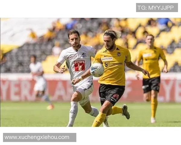 瑞典足球明星贝里：从草根到国际舞台的传奇旅程